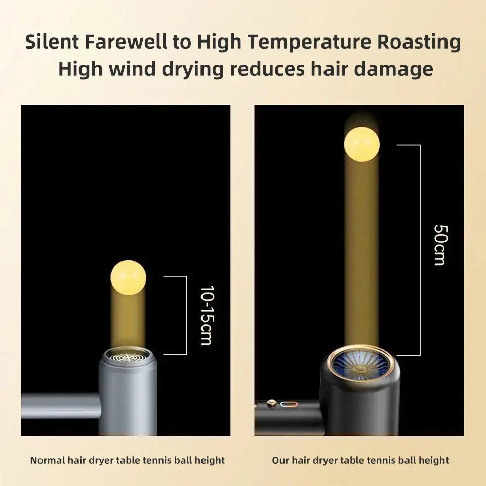 IonBlaze | 2400W Professionele Ionische Haardroger - Warme & Koude Lucht, Pluisvrij Haar