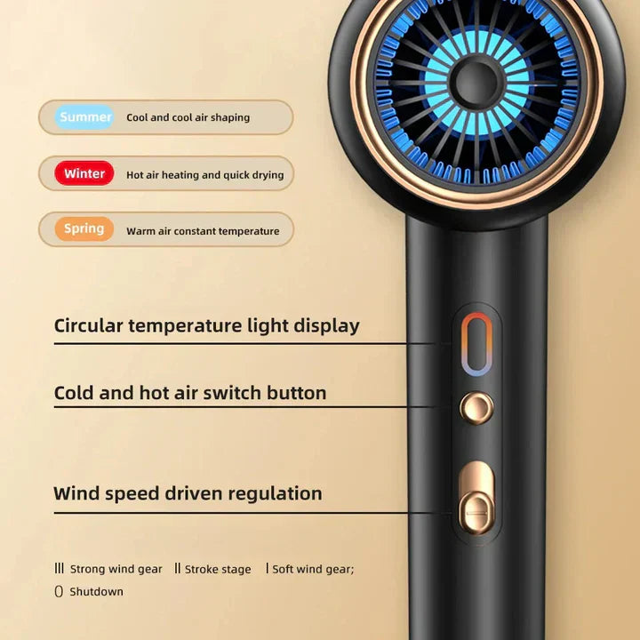 IonBlaze | 2400W Professionele Ionische Haardroger - Warme & Koude Lucht, Pluisvrij Haar