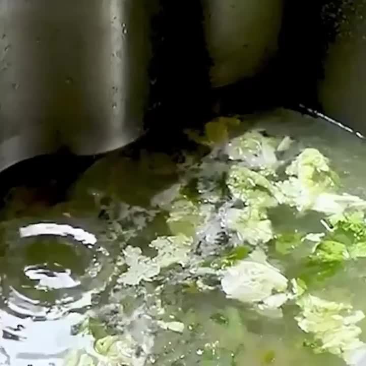 GreaseTrap | 12 stuks ontstoppingspads – vet- en haarvanger voor keuken- en badkamerleidingen