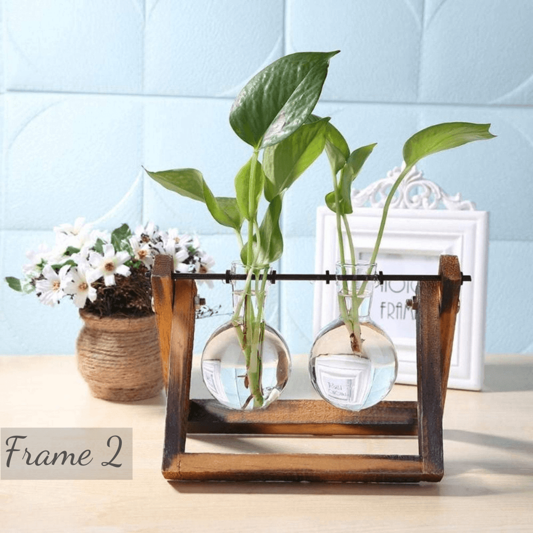 FloraSphere | Retro glazen bollenpot met rustieke houten standaard