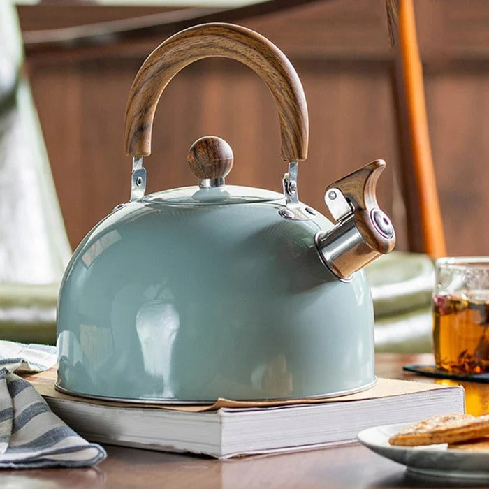 BoilTone | Artisan fluitketel – snelkokend roestvrij staal met veiligheidsuitloop en comfortabele handgreep