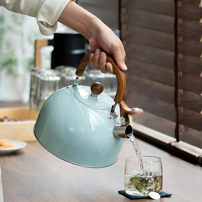 BoilTone | Artisan fluitketel – snelkokend roestvrij staal met veiligheidsuitloop en comfortabele handgreep