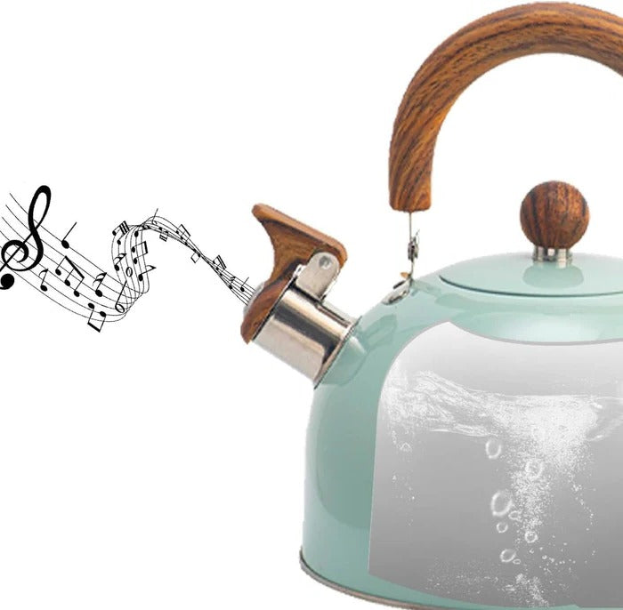 BoilTone | Artisan fluitketel – snelkokend roestvrij staal met veiligheidsuitloop en comfortabele handgreep