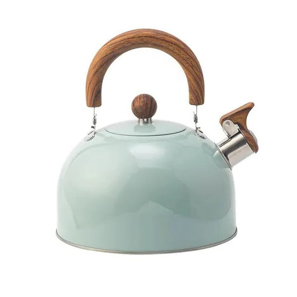 BoilTone | Artisan fluitketel – snelkokend roestvrij staal met veiligheidsuitloop en comfortabele handgreep