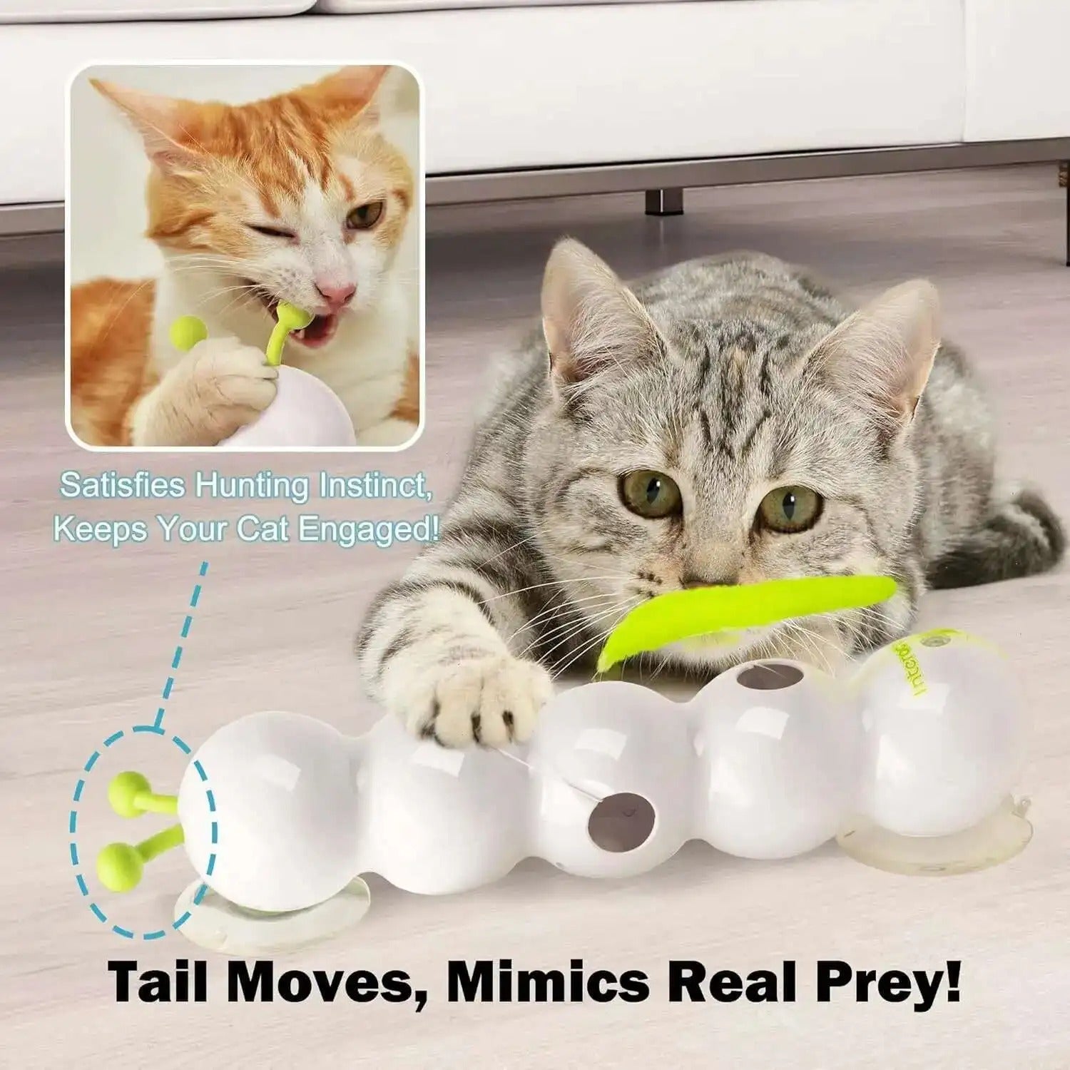 WriggleFun | Interactief kattenspeeltje – Wormbeweging-teaser voor katten, automatisch beweegbaar speeltje