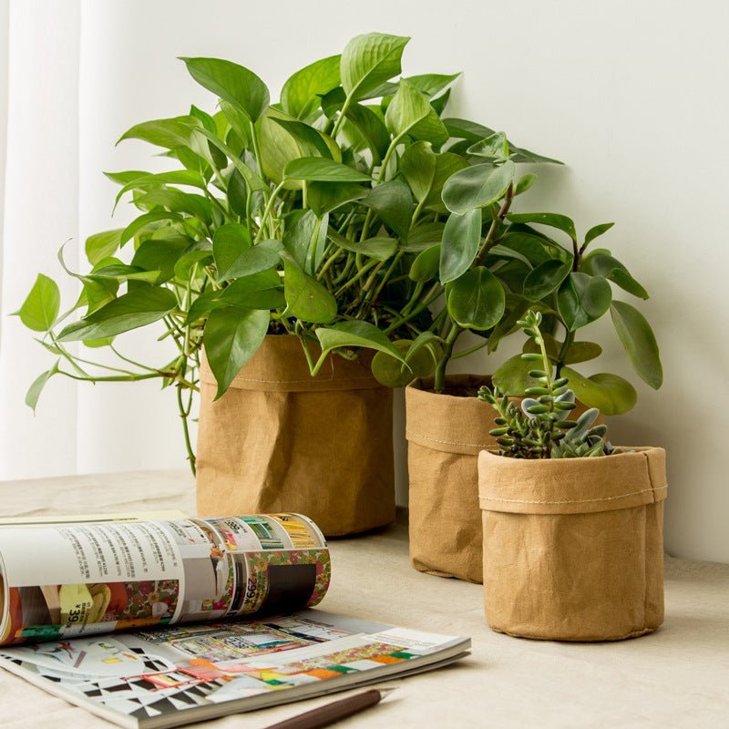 KraftGrow | DuPont Kraft Paper Planter - Milieuvriendelijke, stijlvolle pot voor binnen en buiten