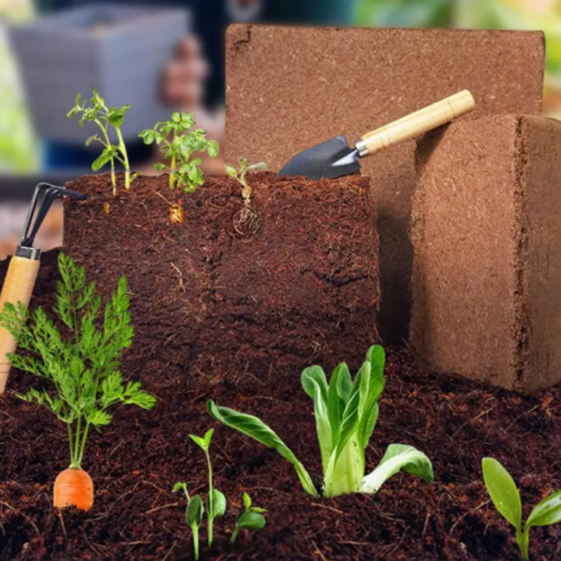 GreenCoir | Biologische kokosnoot kokos - Natuurlijk, duurzaam groeimedium voor zaaibedden