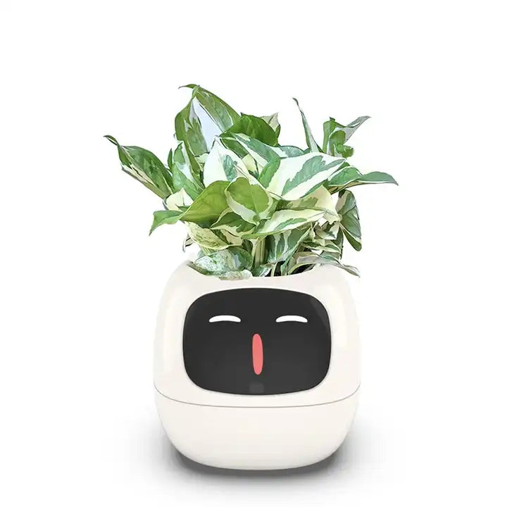 BotaniQ | Indoor slimme plantenpot