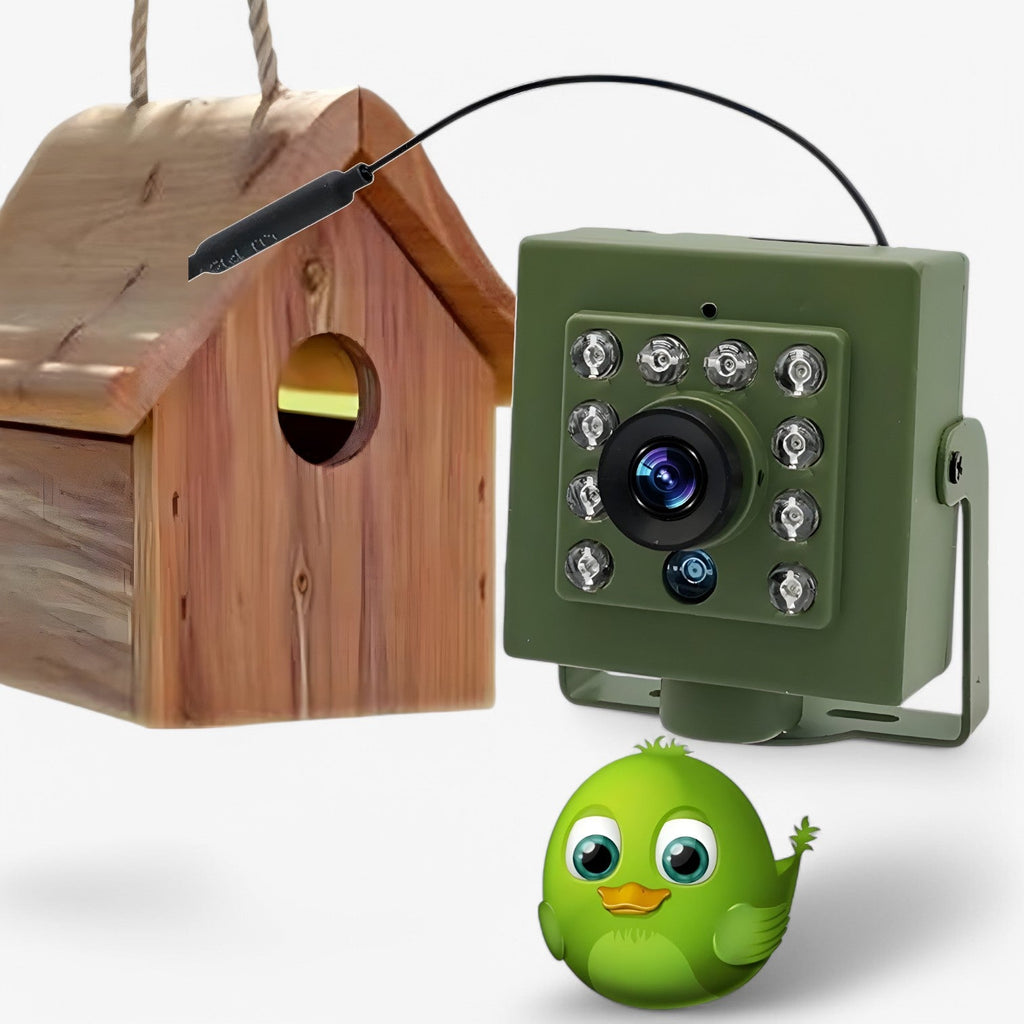 AviCam | Mini WiFi-vogelobservatiecamera 1080p HD – weerbestendig (IP66) voor buiten met nachtzicht