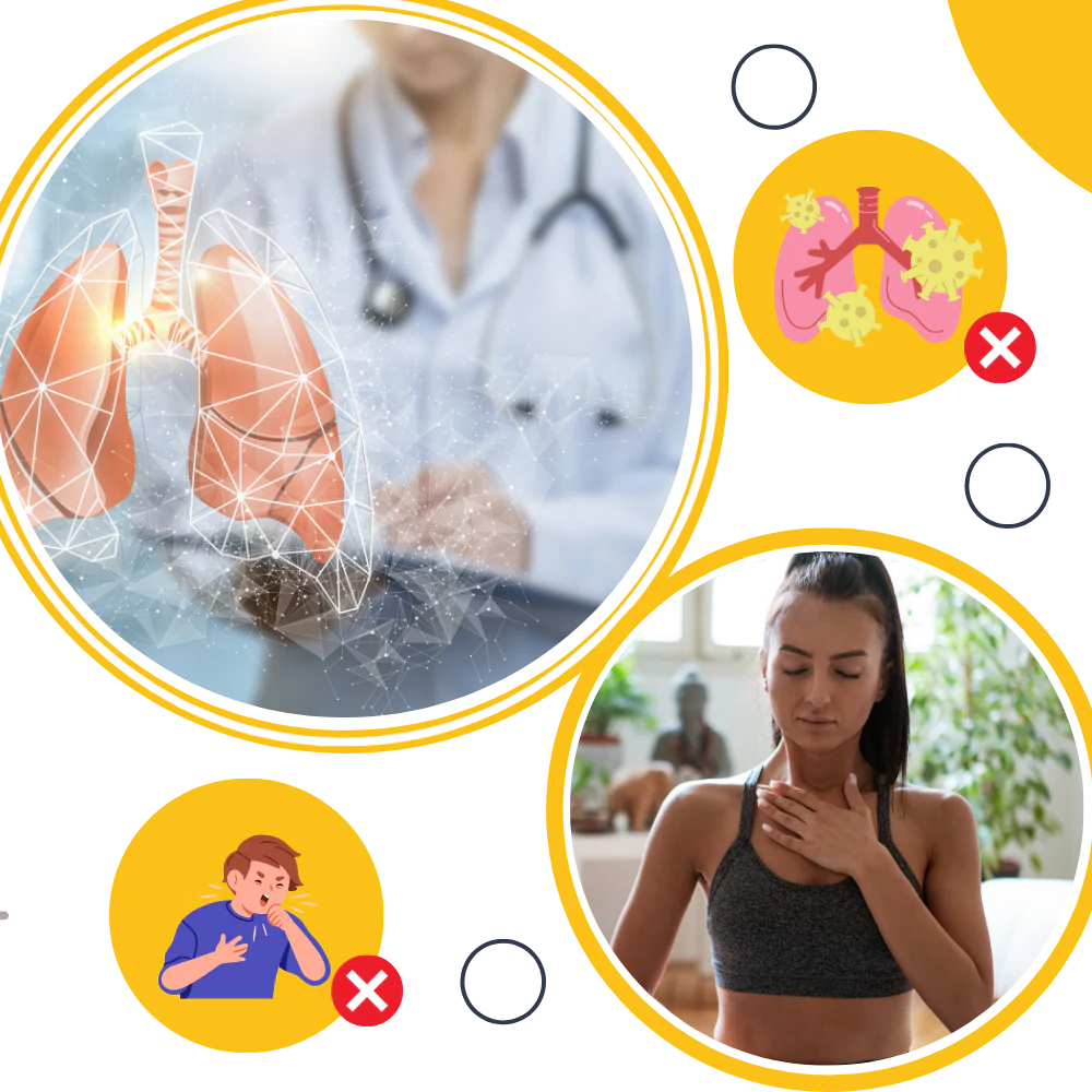 PulmoCare | Glutenvrije koningskaarscapsules voor gezonde longen, ondersteuning van de luchtwegen en natuurlijk kruidensupplement