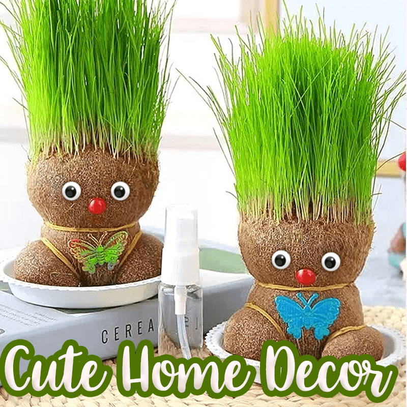 Sprouty | Grashoofd pop - kweekset voor haarplanten, leuk tuiniersspeelgoed