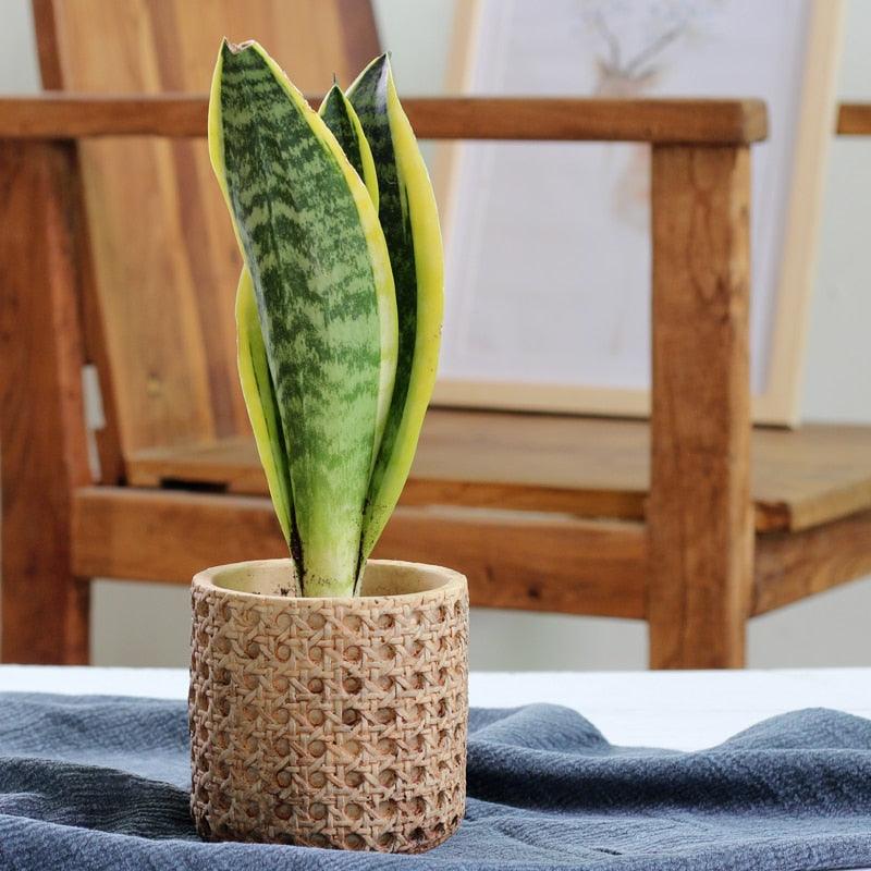 RattanJar | Natuurlijke rotan textuur cement plantenbak - Decoratieve pot voor binnen en buiten