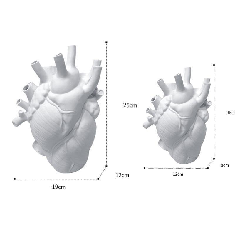 BloomPulse | Unieke anatomische hartvormige vaas