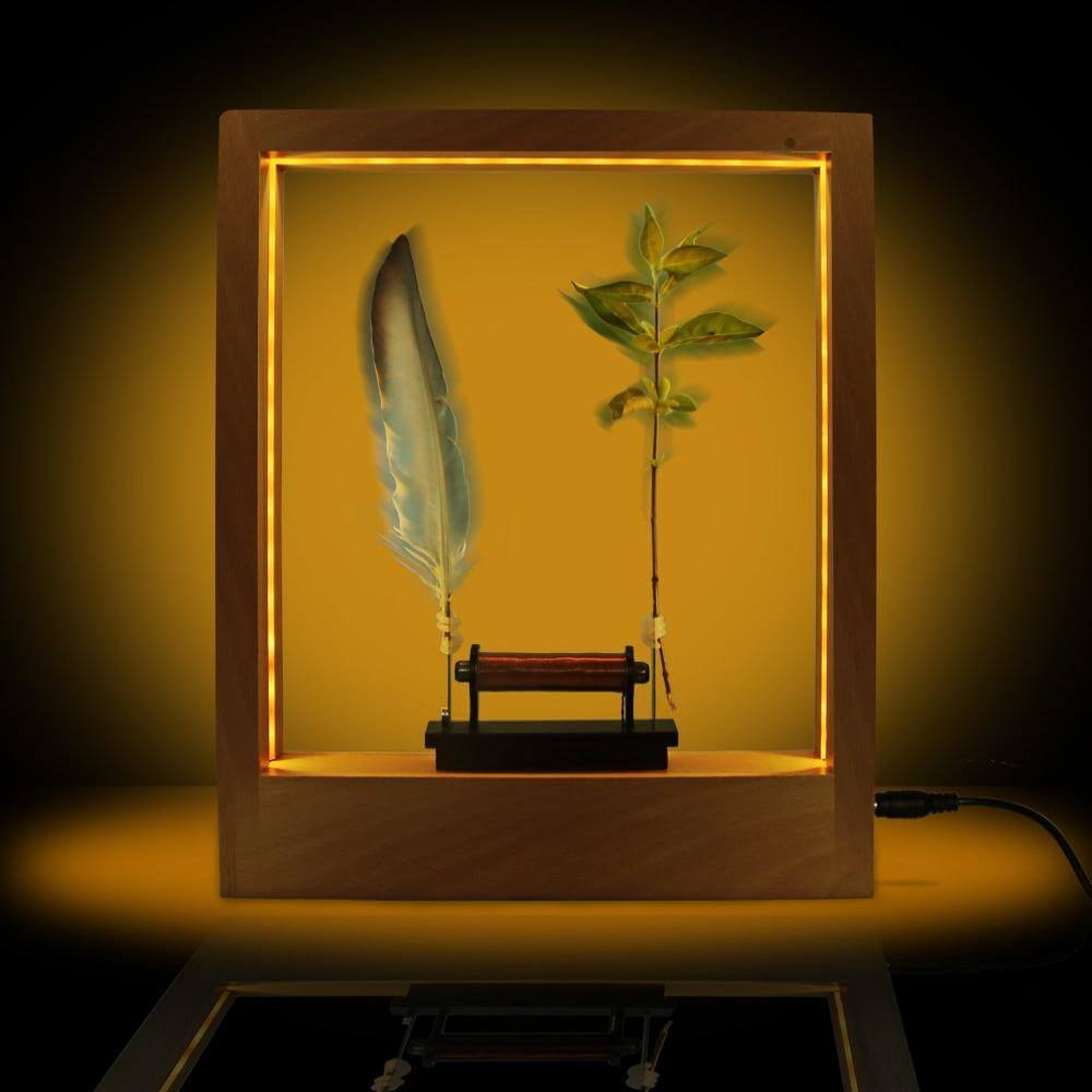 FeatherFlux | LED veer nachtlampje - Slow motion frame huisdecor lamp