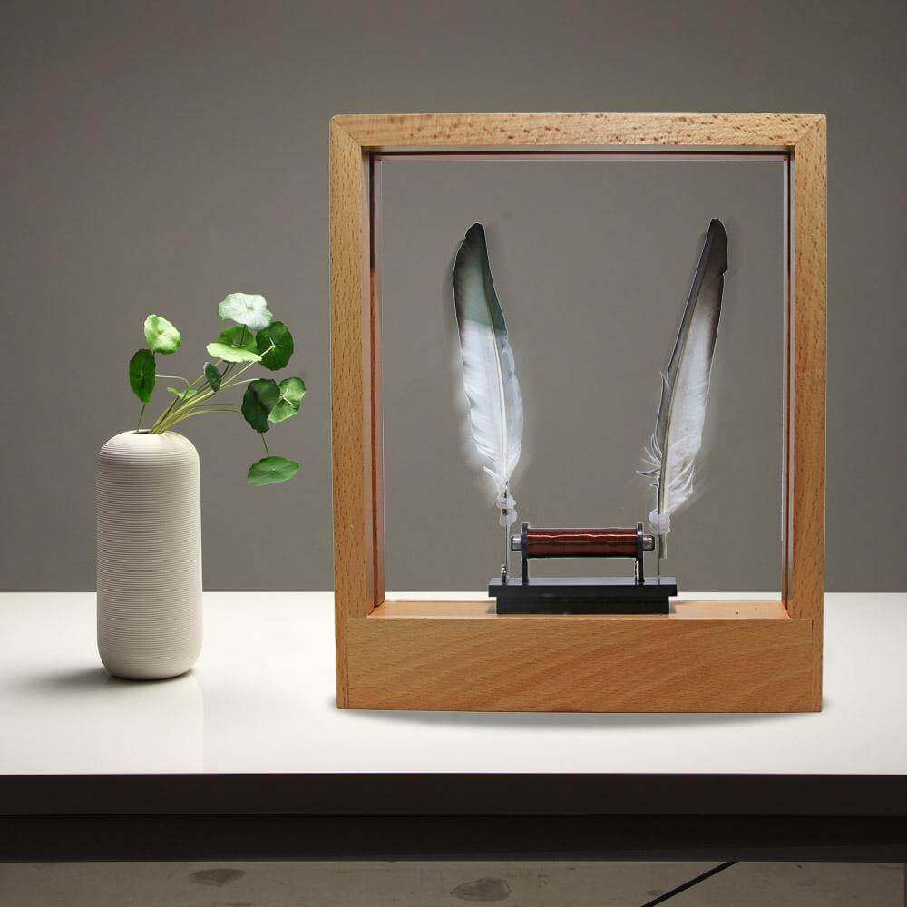 FeatherFlux | LED veer nachtlampje - Slow motion frame huisdecor lamp