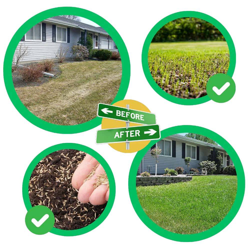 GroPatch | Quick Fix Groen Graszaadmat - Snelle Ontkieming