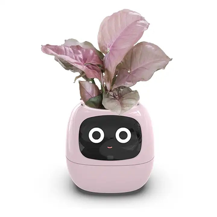 BotaniQ | Indoor slimme plantenpot