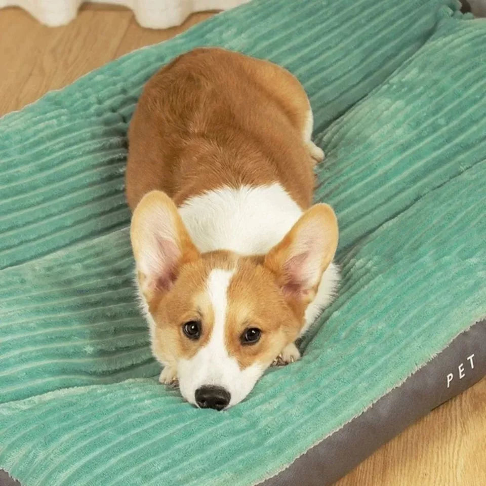 OrthoPup | Orthopedisch hondenkussen met afneembare hoes – Memory Foam-bed voor grote en kleine honden