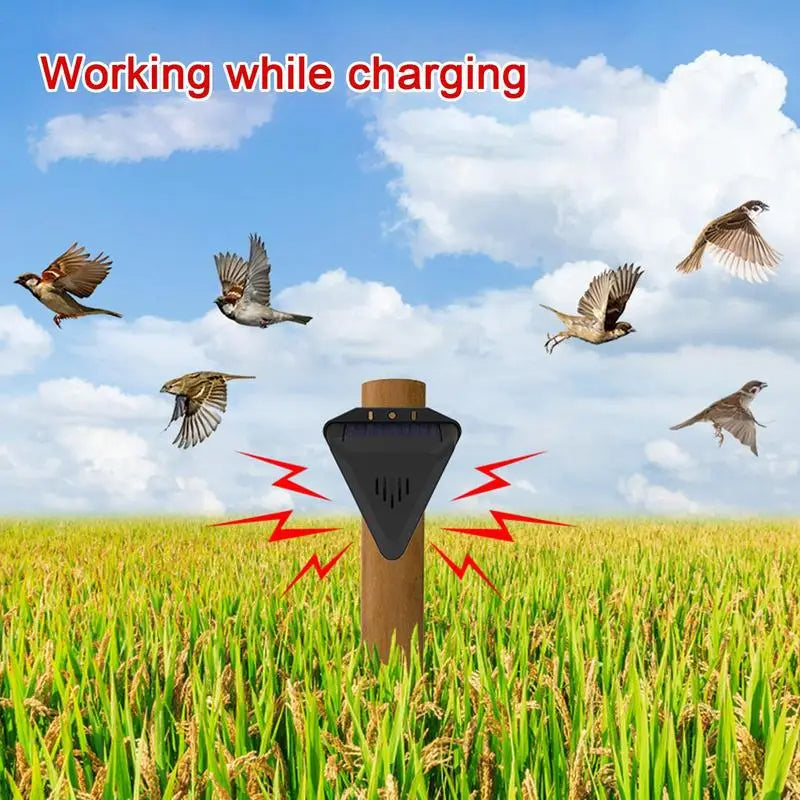 BirdBlock | Zonne-energie aangedreven vogel- en ongedierteverjager voor buiten – Humane, multi-geluidsverjager