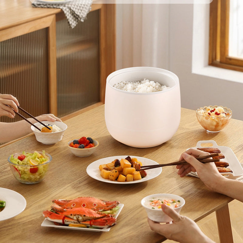 HotBask | Compacte mini-elektrische hotpot met stoompan – multifunctionele kookpan voor rijst, soep en hotpot, warmhoudfunctie en antiaanbaklaag
