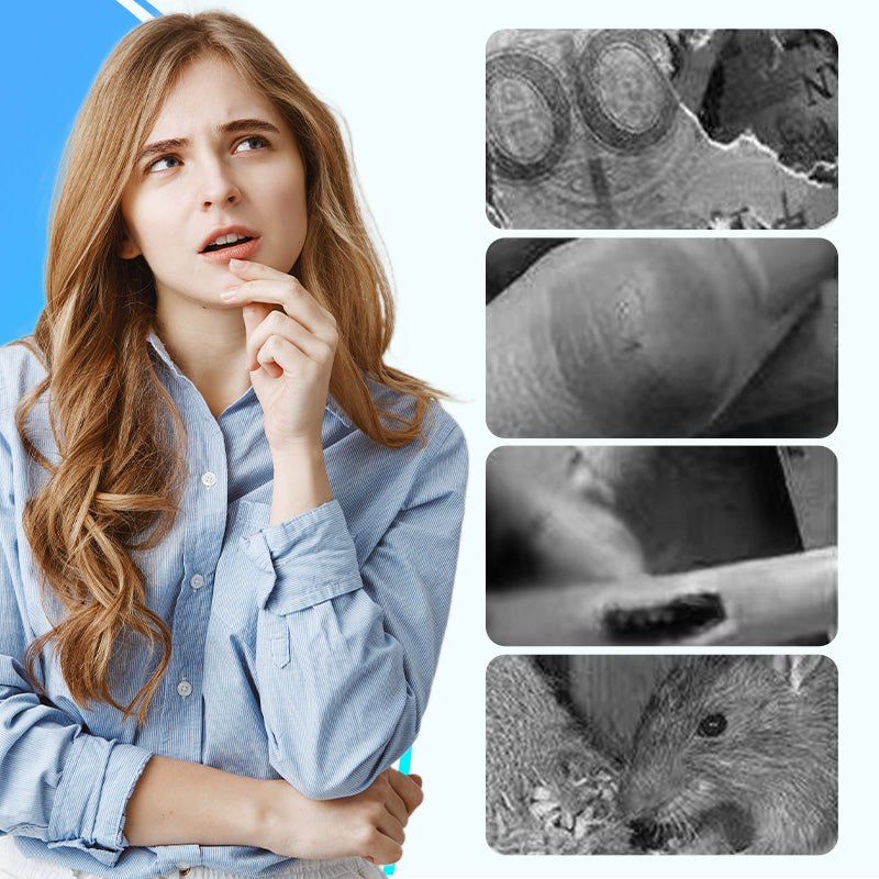 PestWave | Ultrasone muizenverjager voor huis en garage, humaan, niet giftig, groot bereik, instelbare frequentie