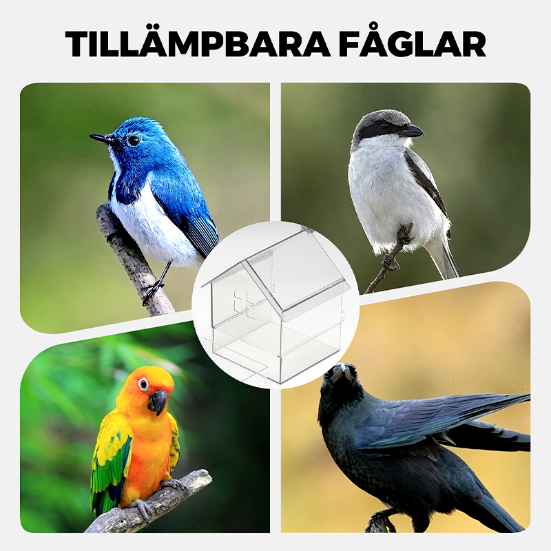 SkyFeeder | Transparante hangende vogelvoederbak – morsbestendig, weerbestendige voederbak voor buiten