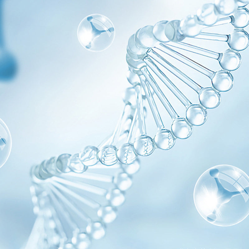 UVShield | UV-toiletsterilisatorlampenset – bacterievrije, hygiënische badkamerreiniger