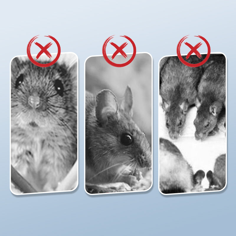 GripTrap | 3D-placemat met bladgoud – reliëf, hittebestendig, antislip tafeldecoratie