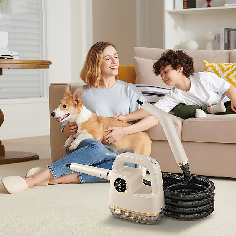 Mistify | Compacte stoomreiniger voor hoge temperaturen - Draagbare reiniger voor grondige reiniging van vloeren in huis