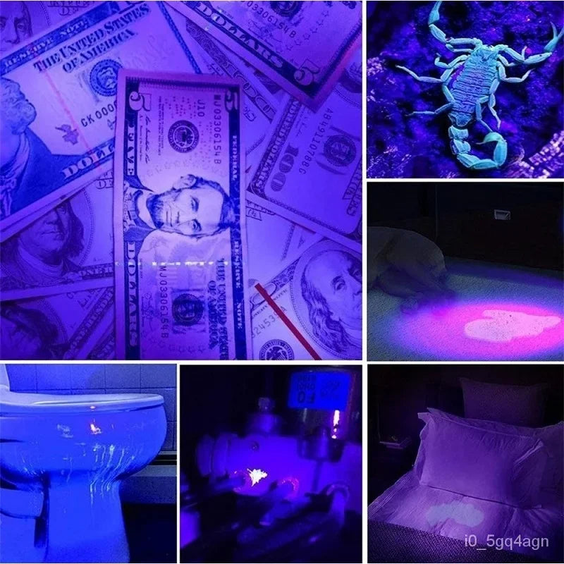 UltiUV | Hoogintensieve UV-inspectielamp – Bedwantsen opsporen en onzichtbare vlekken detecteren met blacklight
