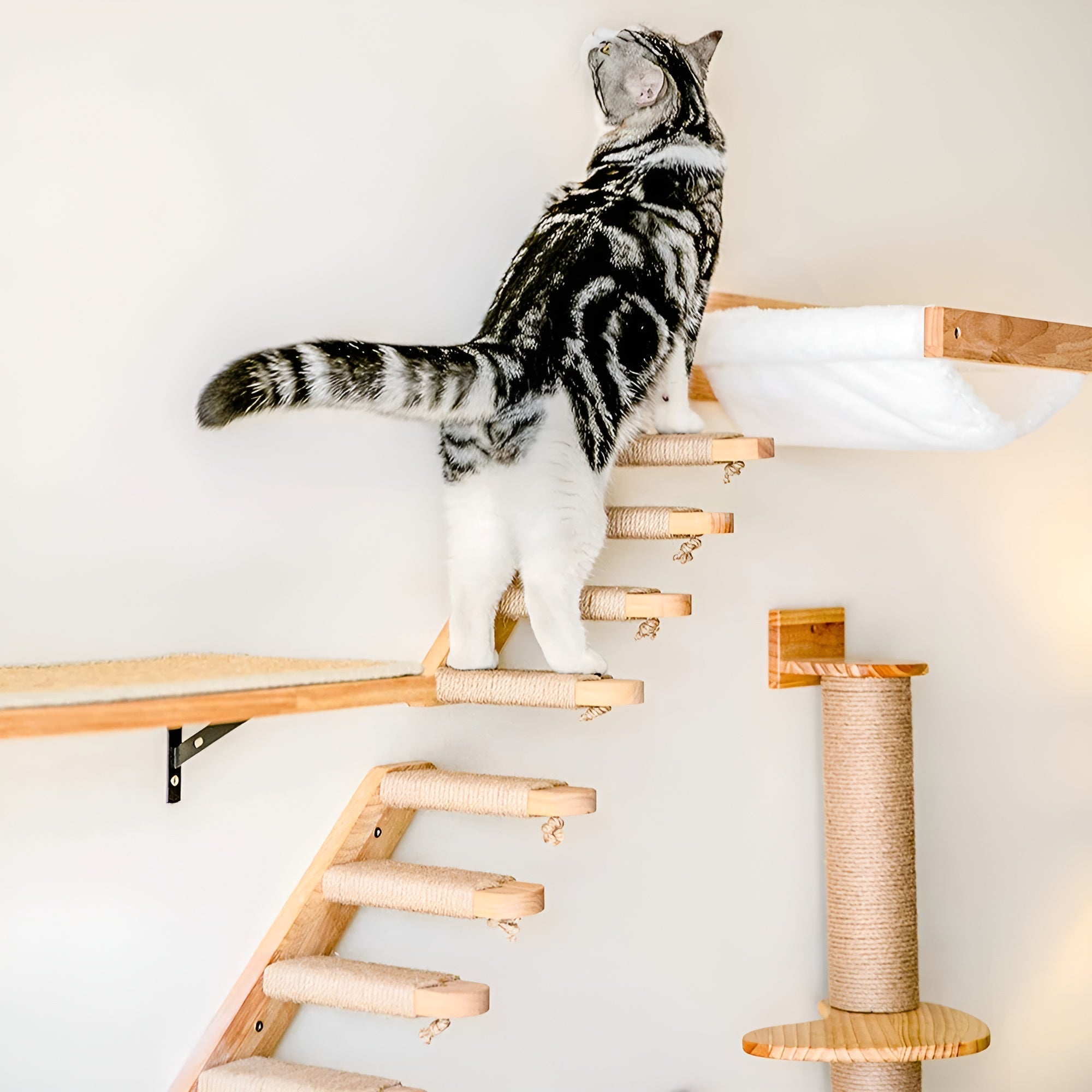 FeliClimb | Wandgemonteerde kattenklimrek & krabpaal – Interactieve speelwand voor katten voor thuis