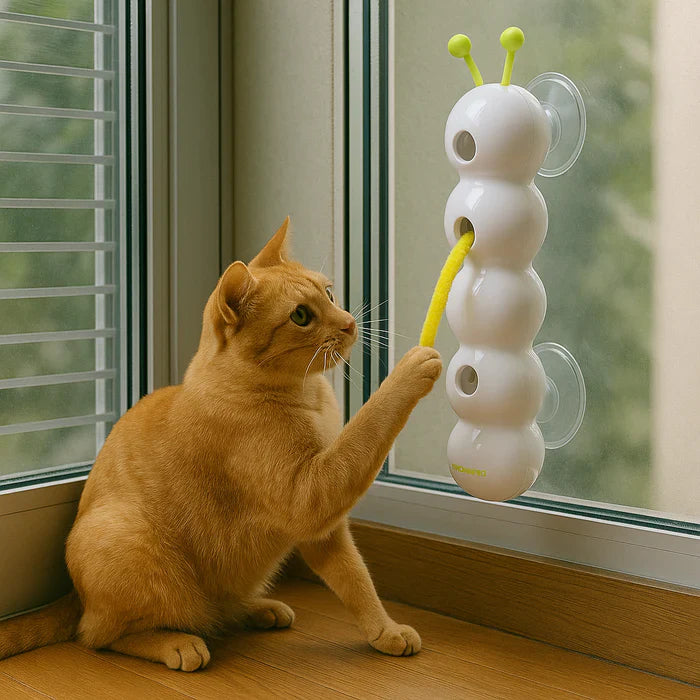 WriggleFun | Interactief kattenspeeltje – Wormbeweging-teaser voor katten, automatisch beweegbaar speeltje