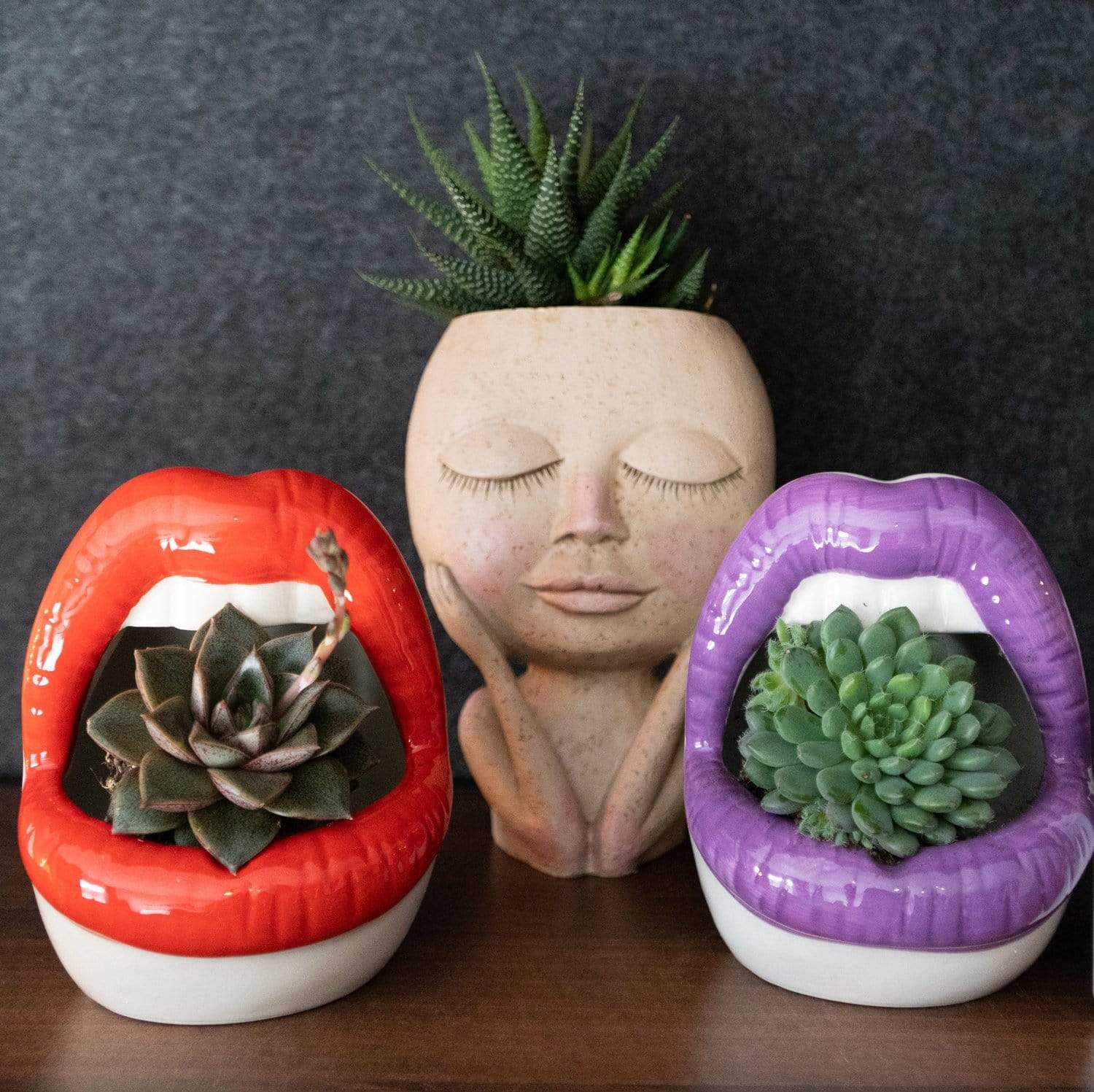 PoutPot | Creatieve Lippen Plantenbak