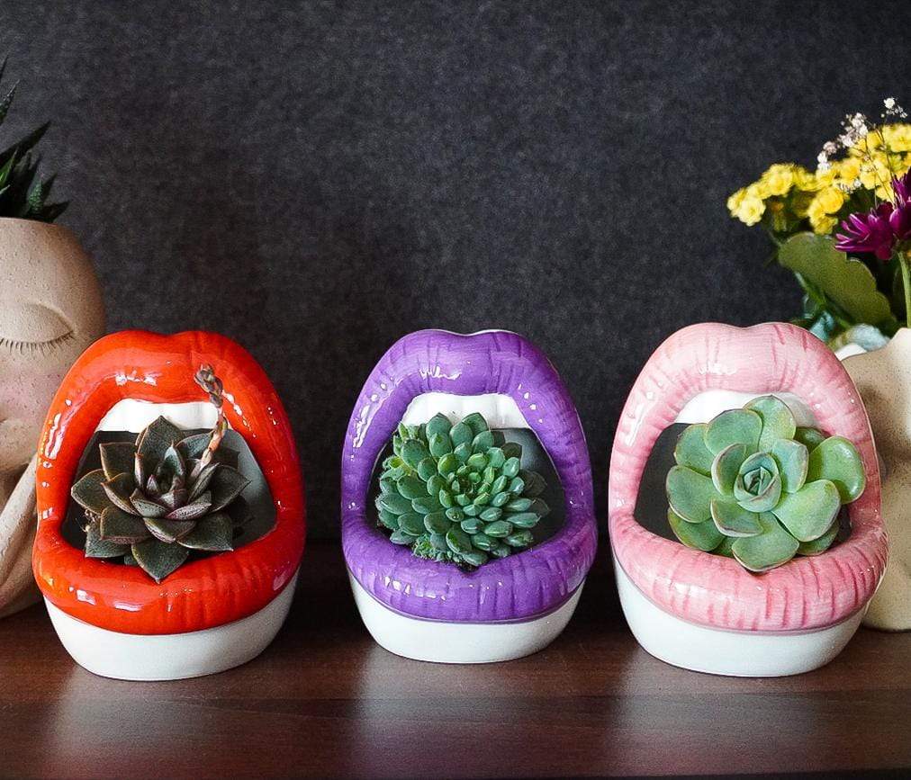 PoutPot | Creatieve Lippen Plantenbak