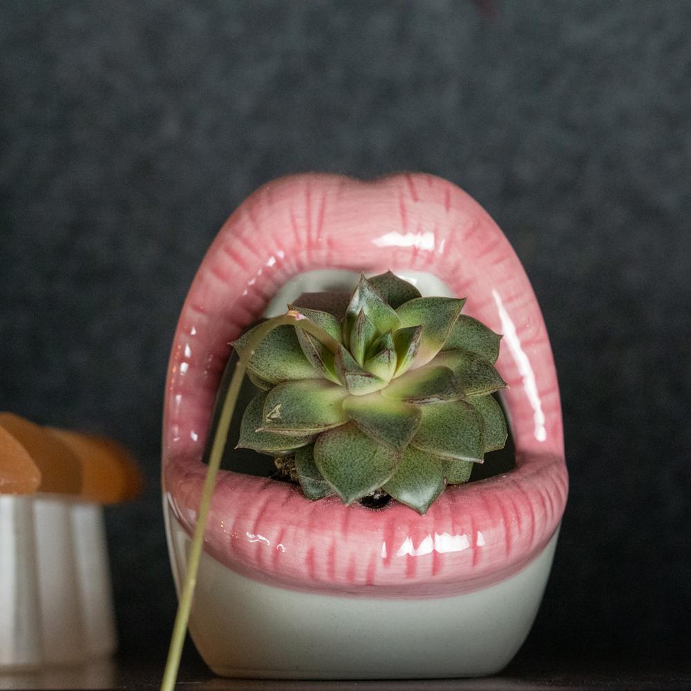 PoutPot | Creatieve Lippen Plantenbak