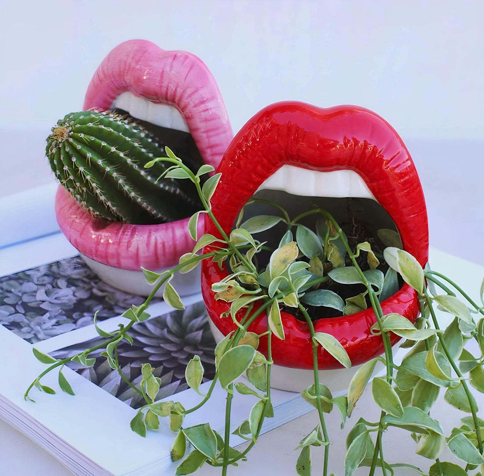 PoutPot | Creatieve Lippen Plantenbak